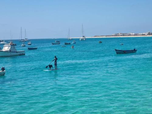 a person and a dog on a surfboard in the water at Animoss! Apartments - 10 modern apartments near city center & beach in Santa Maria