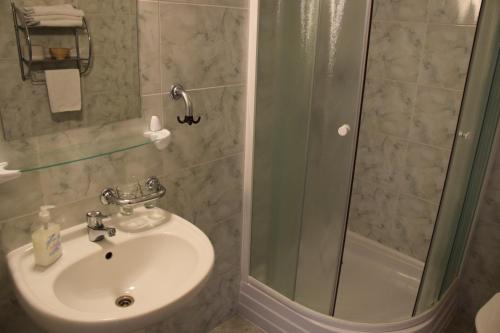 a bathroom with a sink and a shower at Penzion Bohemia in Lomnice nad Lužnicí