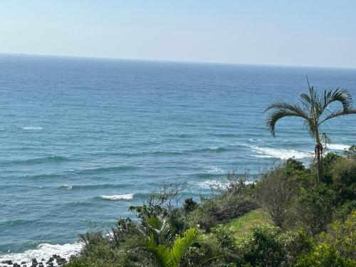 a palm tree on a hill next to the ocean at 海闊天空 丁一的家民宿 Pacific Ocean View in Chenggong