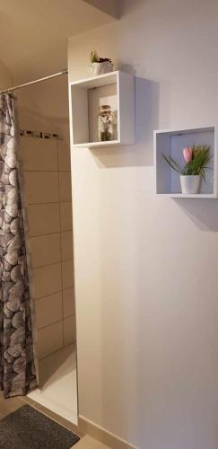 La salle de bains est pourvue d'une douche et d'un mur blanc. dans l'établissement T2 saint jean du Bruel, à Saint-Jean-du-Bruel