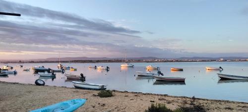 a group of boats sitting in the water at Sunshine, casa de campo e praia, estilo e conforto, espaço e privacidade, perfeita para as suas férias em Olhão in Moncarapacho