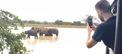 a man taking a picture of a herd of elephants in the water at White House Safari Cottage in Udawalawe