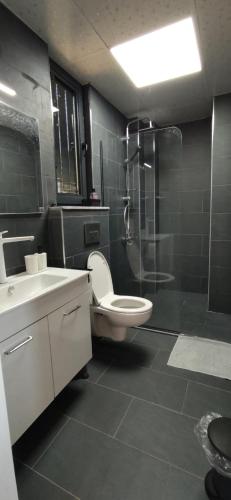 a bathroom with a shower and a toilet and a sink at Aze's Garden suites - Kalkan, Kaş in Kaş