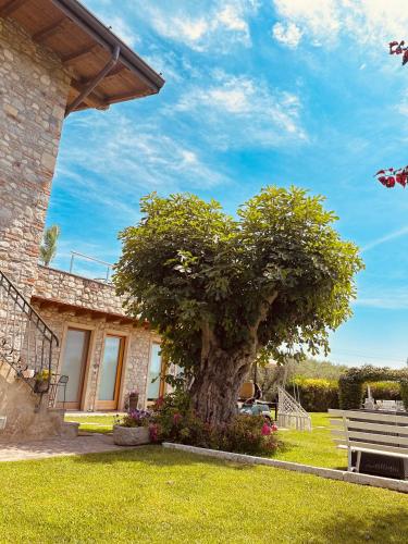 Jardin de l'établissement Holiday Home Sovenigo