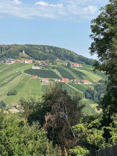a view of a green vineyard with houses on a hill at Ferienhaus Familie Lebbing in Bad Gleichenberg