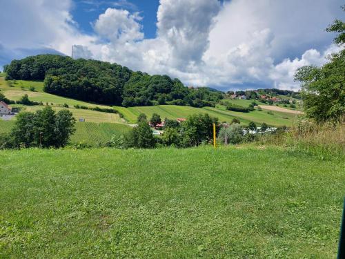 a green field with trees and houses on a hill at Ferienhaus Familie Lebbing in Bad Gleichenberg