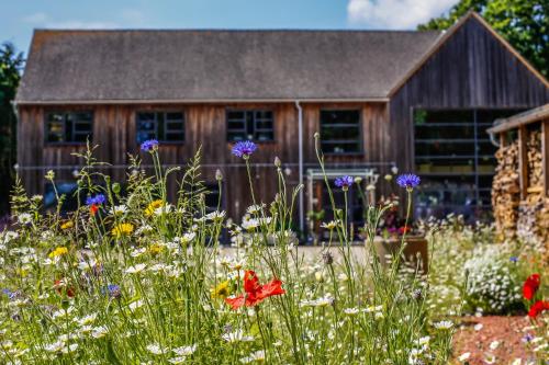 a field of flowers in front of a house at Claron Lodge in West Wittering