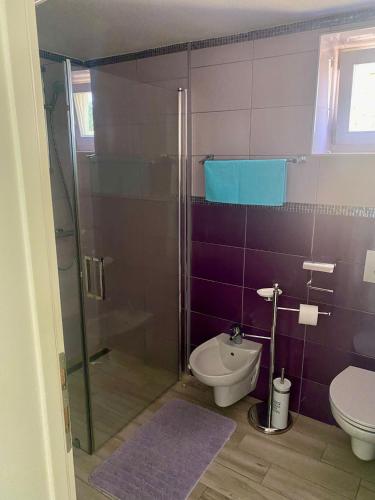 a bathroom with a toilet and a glass shower at Apartman Anton in Stara Baška