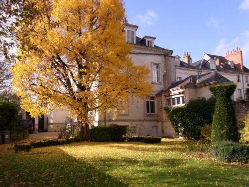 un arbre dans la cour d'une maison dans l'établissement A l'abri du Ginkgo, à Tours