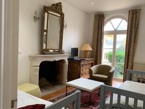 - un salon avec un miroir et une cheminée dans l'établissement A l'abri du Ginkgo, à Tours