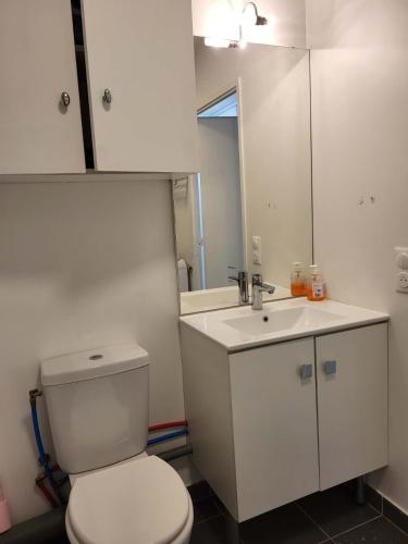 une salle de bain avec des toilettes blanches et un lavabo dans l'établissement Confort Appart familial Paris, à Villejuif