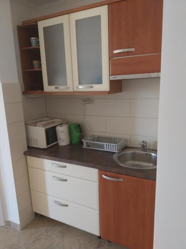 una piccola cucina con lavello e microonde di Residence Porec V a Poreč (Parenzo)