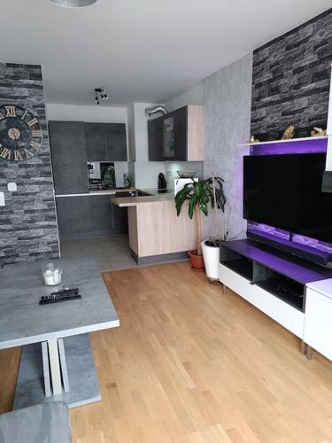 Il comprend un salon avec une grande télévision et une cuisine. dans l'établissement Super appartement moderne T2, à Gagny