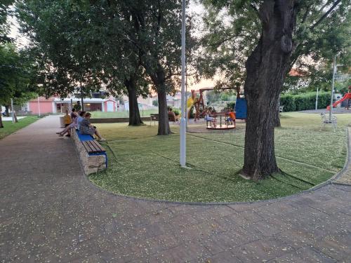 a park with people sitting on a bench next to a tree at S + A in Posedarje