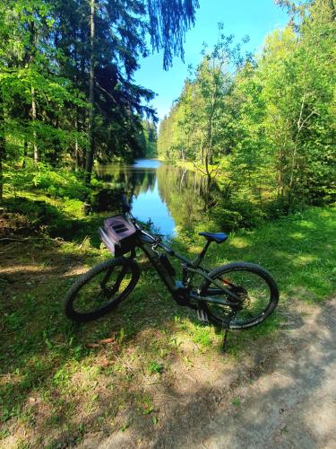 a bike parked on the grass next to a river at Ferienhaus Bringfriede in Muldenhammer