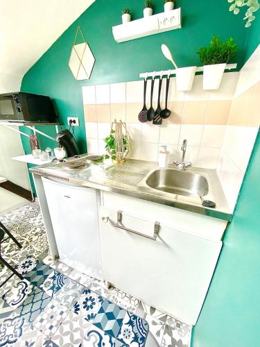 - une cuisine avec un évier et un mur vert dans l'établissement Le Barny studio cocooning en hyper centre, à Limoges