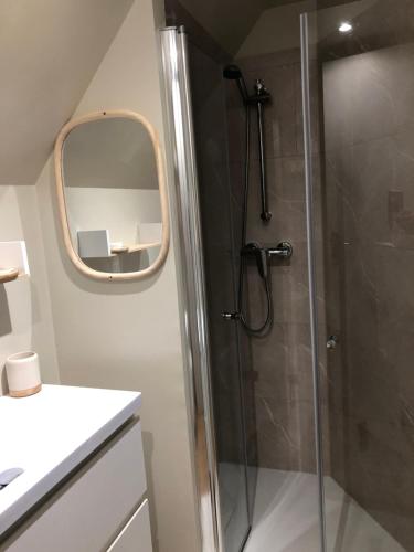 une salle de bain avec douche et miroir dans l'établissement Gite Salamandre, à Le Bouillon
