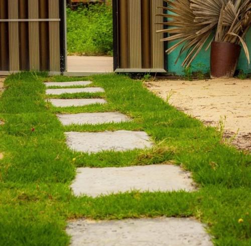 Zahrada ubytování Hostel Renascer nos Lençóis