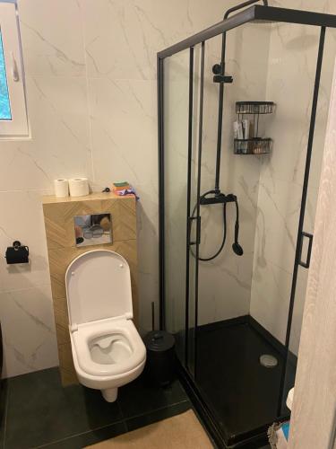 a bathroom with a toilet and a shower at Leśna Polana- Kompleks Domków Mieszkalnych in Kamionka