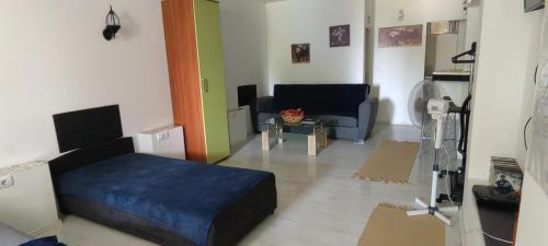 Imagem da galeria de DIVLJI RAJ studio em Mali Mokri Lug