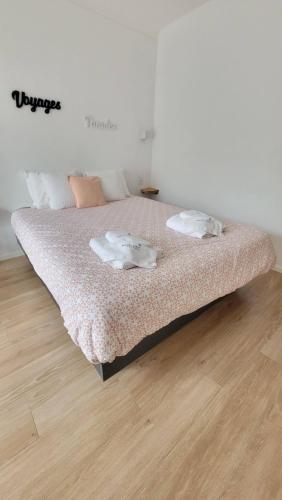 a bed with two pillows on it in a room at DOMAINE CARDU in Cardo-Torgia