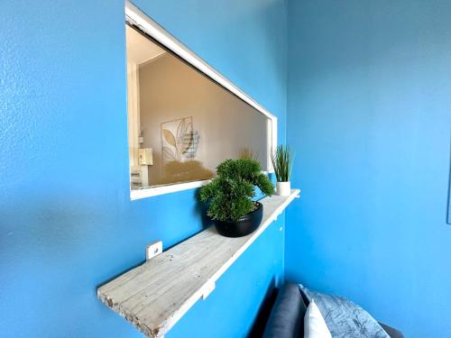 un miroir sur un mur bleu avec des plantes sur une étagère dans l'établissement Le Dumas, intime et cosy, à Limoges