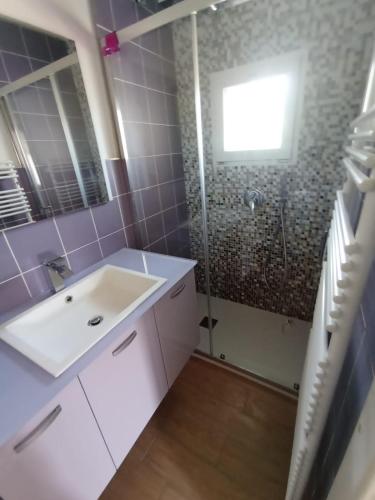 a bathroom with a sink and a shower at b&b Antiche Pietre in Bollengo