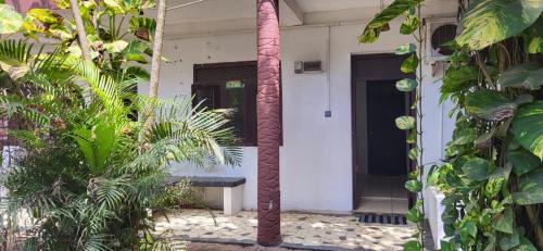 Κήπος έξω από το Arugam Hostel