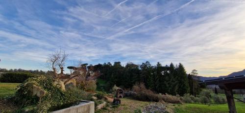 a view of a field with trees and a sky at B&B Podere Montese in Villafranca in Lunigiana
