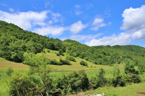 a green hillside with trees and green grass at Vikendica Mandic in Gornji Volari