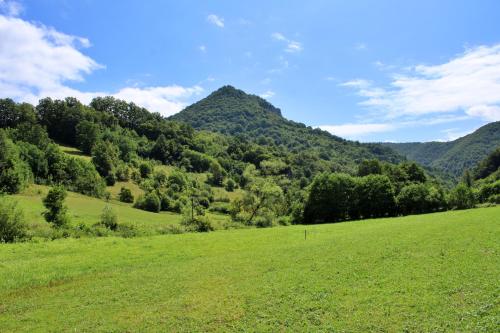 a green field with mountains in the background at Vikendica Mandic in Gornji Volari