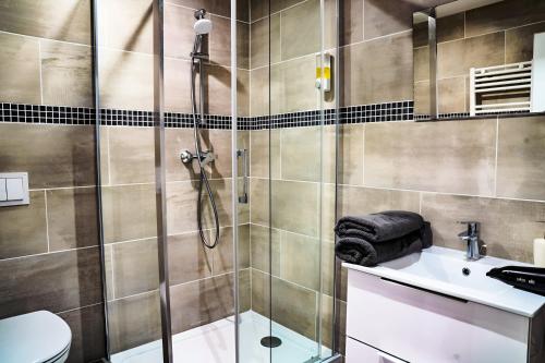 une salle de bain avec une douche, un lavabo et des toilettes dans l'établissement T2 Chic proche de la gare Châteaucreux, à Saint-Étienne