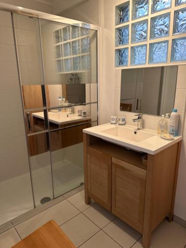 une salle de bain avec un lavabo et une douche dans l'établissement Maison les Lilas, à Gérardmer