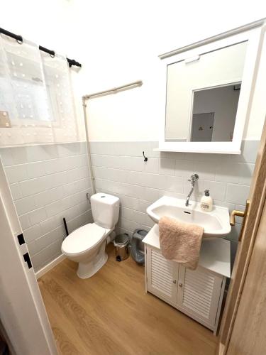 a white bathroom with a toilet and a sink at Mezi stromy 165 in Česká Kamenice