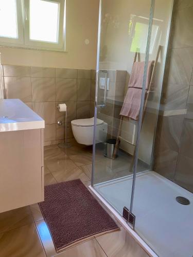 a bathroom with a shower and a toilet and a sink at SUN Apartment in Dobrinj