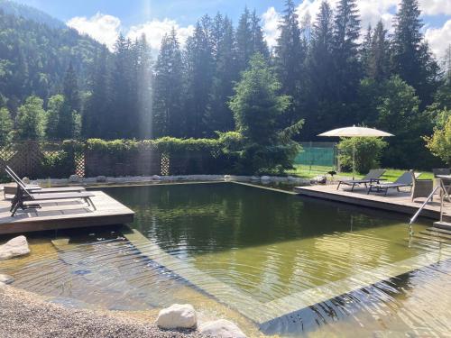 a pool of water with two chairs and an umbrella at Naturhotel Schütterbad in Unken
