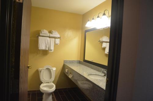 y baño con aseo, lavabo y espejo. en Countryside Inn and Suites, en Mount Orab