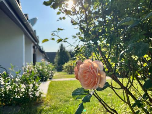 Zahrada ubytování Landhotel Rosenhof am Plauer See garni mit E-Lade Säule