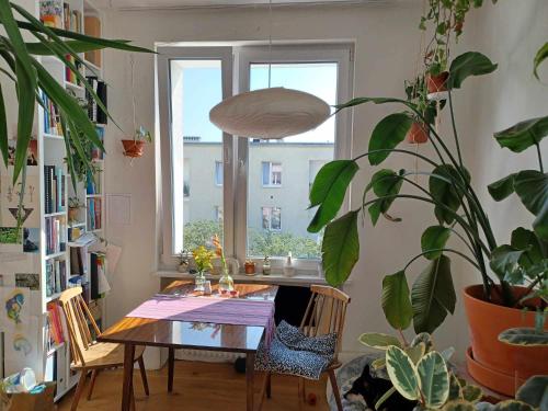 Wygodne mieszkanie na Mokotowie blisko metra - Comfortable apartment close to the subway