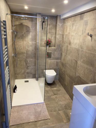 une salle de bain avec une douche, des toilettes et un lavabo dans l'établissement Studio centre historique Aix en Provence, à Aix-en-Provence