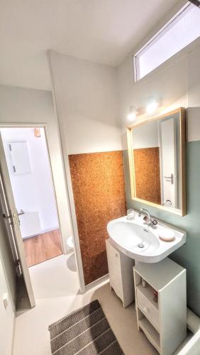 une salle de bain avec un lavabo, un miroir et une douche dans l'établissement Appartement au coeur du village de Saint-Lary-Soulan 2 personnes, à Saint-Lary-Soulan