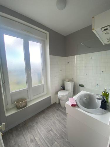 a bathroom with a sink and a toilet and a window at Villa Les Tourelles in Flers