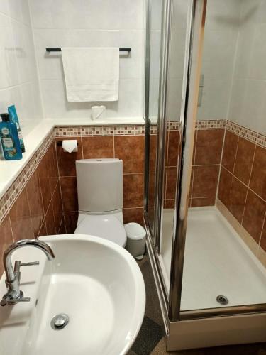 a bathroom with a toilet and a sink and a shower at Cottage in Snowdonia in Blaenau-Ffestiniog
