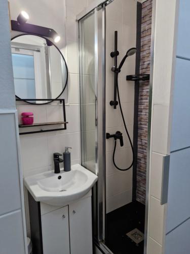 a bathroom with a sink and a shower at Przy rynku in Duszniki Zdrój
