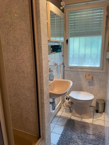 a bathroom with a sink and a toilet and a shower at Bungalow am See in Bestensee