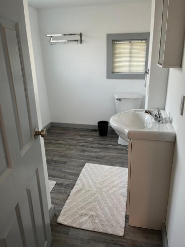 a bathroom with a sink and a toilet at The Water Street House in Port Huron