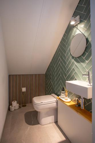 a bathroom with a toilet and a sink at Evergreen wellness met sauna & hottub in Ewijk