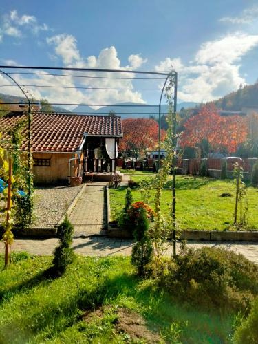 a small house in the middle of a field at Dor de Munte Transfăgarasan in Cîrţişoara