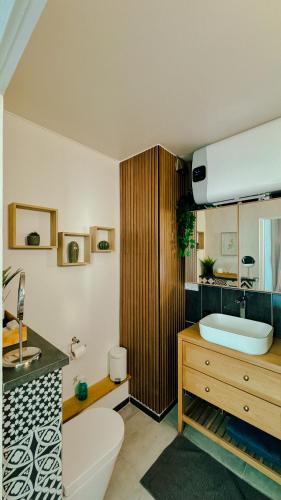 une salle de bain avec toilettes et lavabo dans l'établissement Suite Hyper Centre Strasbourg, à Strasbourg