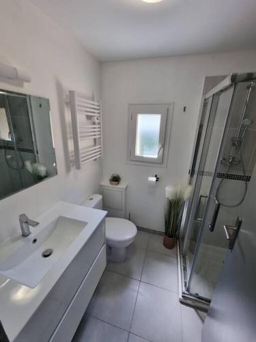 une salle de bain avec toilettes, lavabo et douche dans l'établissement Maison cosy aux portes de Tours, à Saint-Pierre-des-Corps